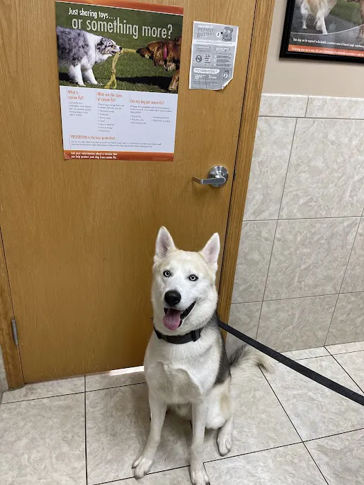 West Allis Veterinary Clinic Picture 2