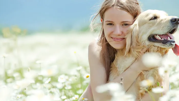 West Allis Veterinary Clinic Picture 5