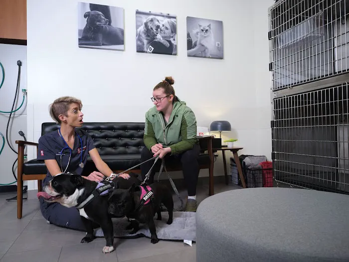 Veterinary Emergency Group Picture 1