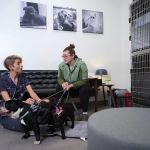 Veterinary Emergency Group