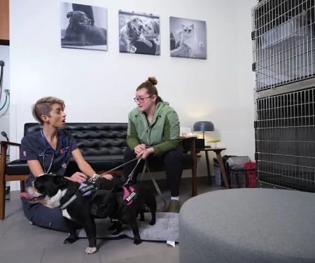 Veterinary Emergency Group