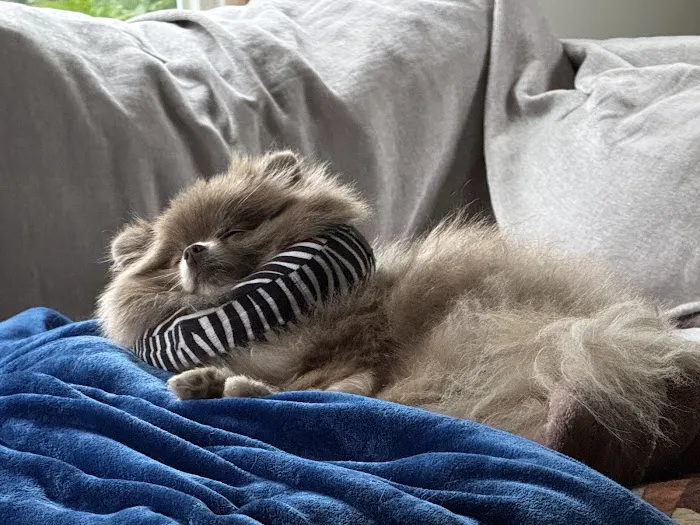 Veterinary Emergency Group Picture 2