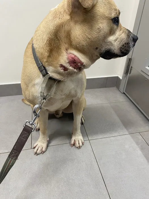 Veterinary Emergency Group Picture 3