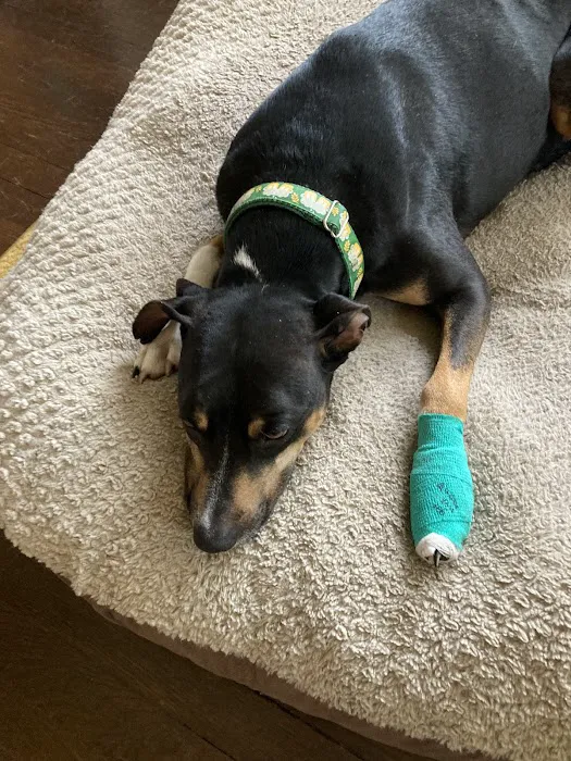 Veterinary Emergency Group Picture 5