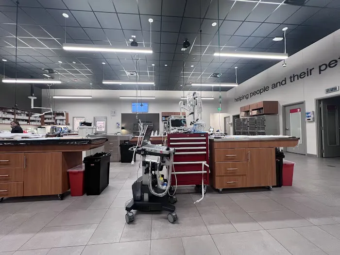 Veterinary Emergency Group Picture 6