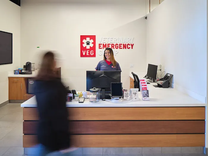 Veterinary Emergency Group Picture 8