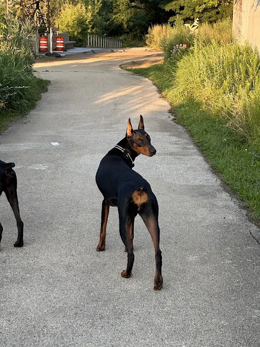 Veterinary Emergency Group Picture 10