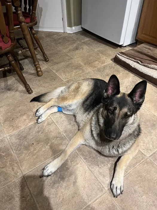 Veterinary Emergency Group Picture 9