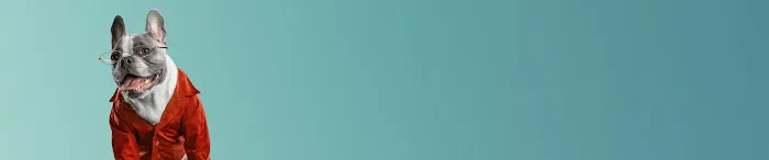 Spay/Neuter Clinic - Wisconsin Humane Society Picture 1