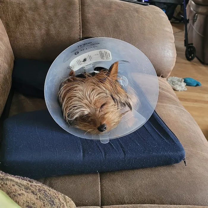 Spay/Neuter Clinic - Wisconsin Humane Society Picture 8