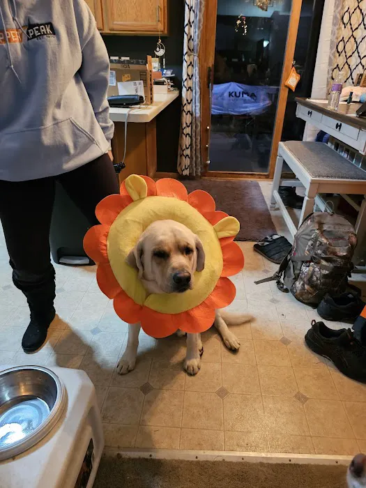 Spay/Neuter Clinic - Wisconsin Humane Society Picture 7