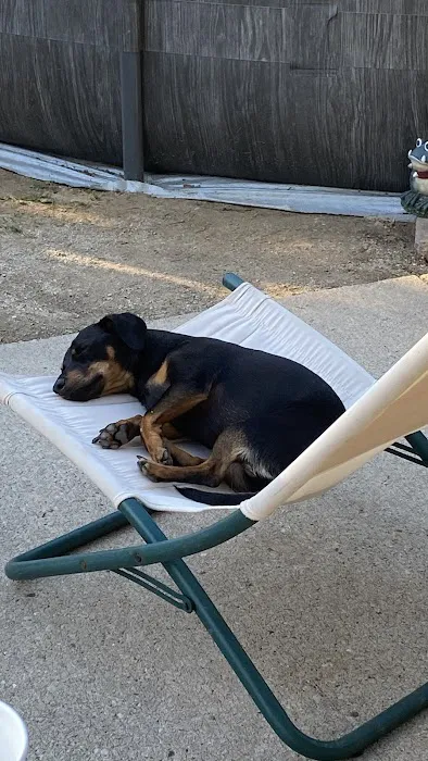 Wales Animal Clinic Picture 6