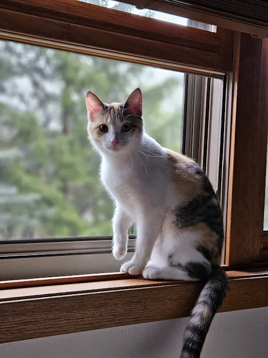 Wales Animal Clinic Picture 1