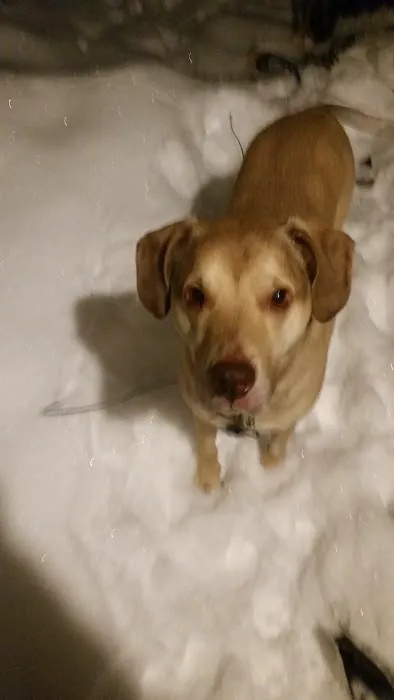 Wales Animal Clinic Picture 2