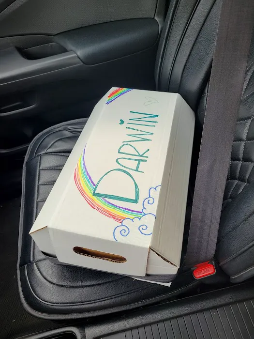 Wales Animal Clinic Picture 7