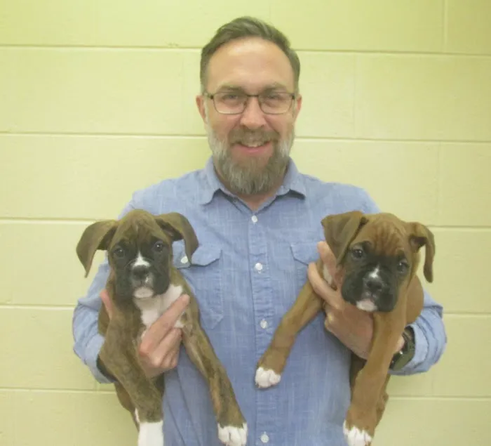 Wales Animal Clinic Picture 10