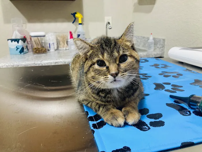 Kettle View Veterinary Clinic Picture 1