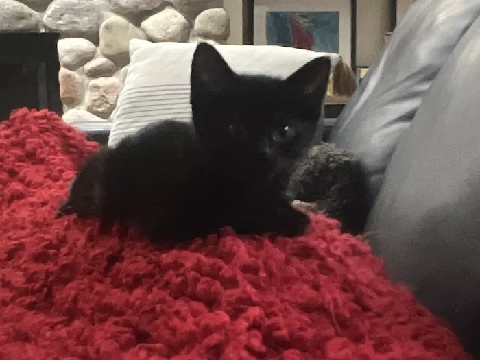 Kettle View Veterinary Clinic Picture 5