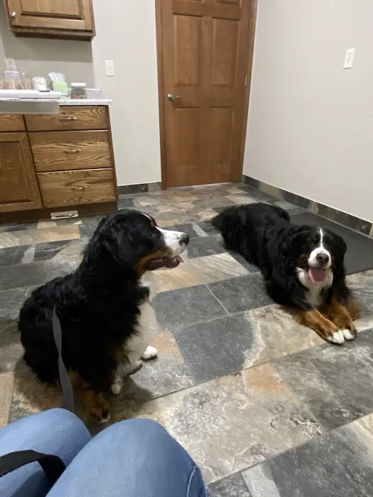 Kettle View Veterinary Clinic Picture 4