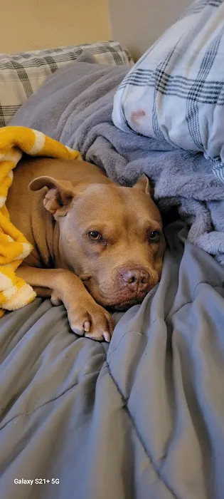 Kettle View Veterinary Clinic Picture 3