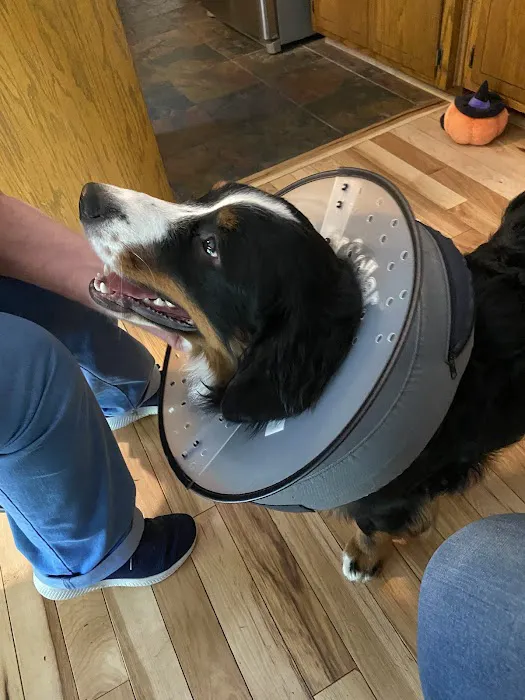 Kettle View Veterinary Clinic Picture 7