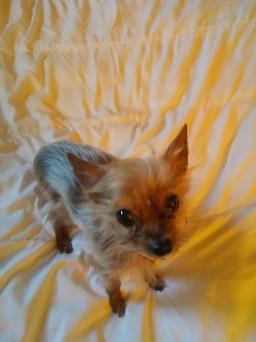 Kettle View Veterinary Clinic Picture 6