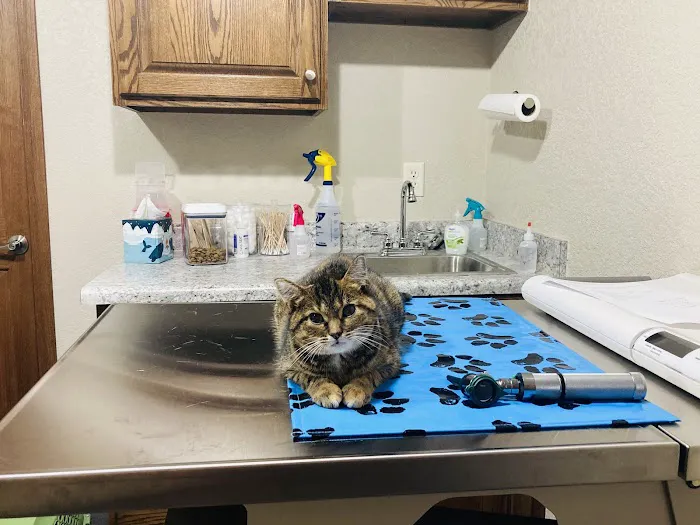 Kettle View Veterinary Clinic Picture 2