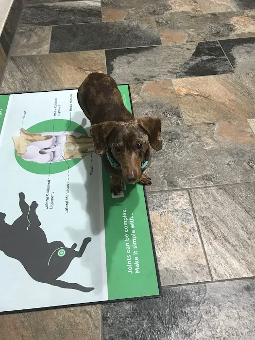 Kettle View Veterinary Clinic Picture 10