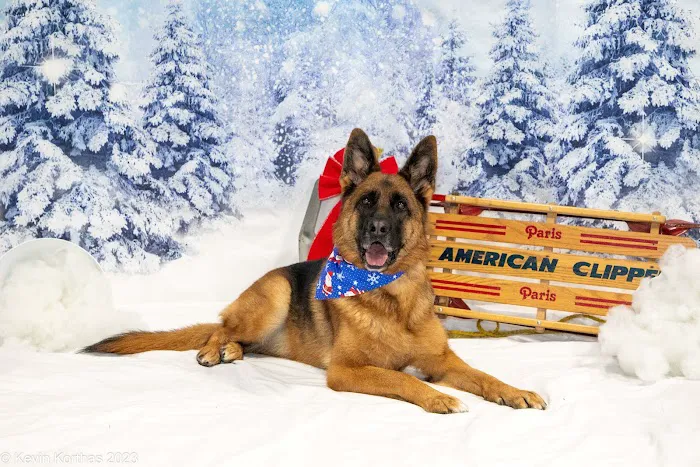 Kettle View Veterinary Clinic Picture 8