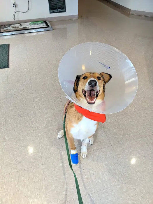 Bark River Animal Hospital Picture 3