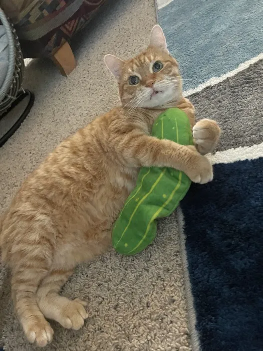 Bark River Animal Hospital Picture 4