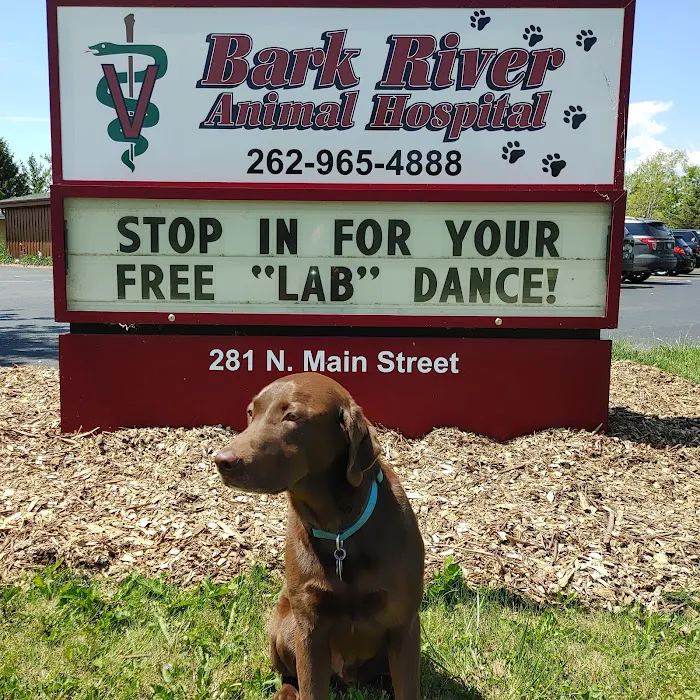 Bark River Animal Hospital Picture 7
