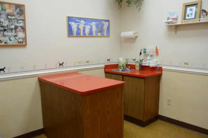 Heritage Animal Clinic SC Picture 7