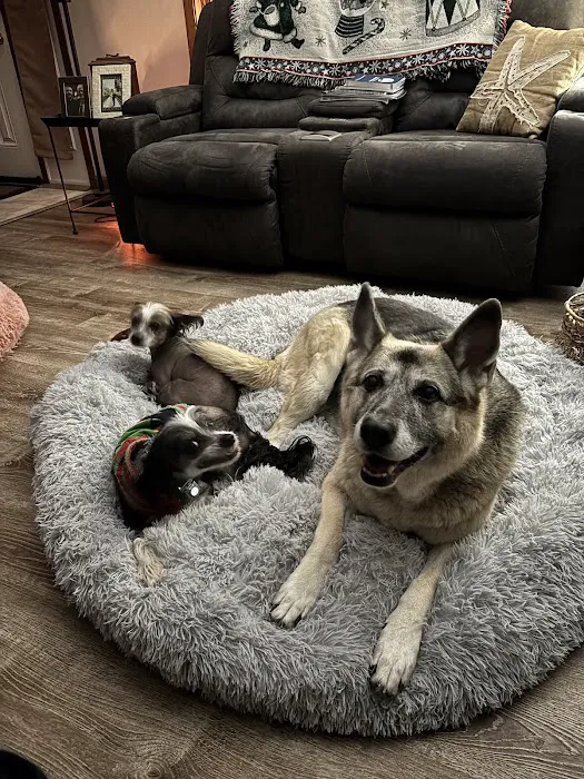 Vetco Vaccination Clinic Picture 1