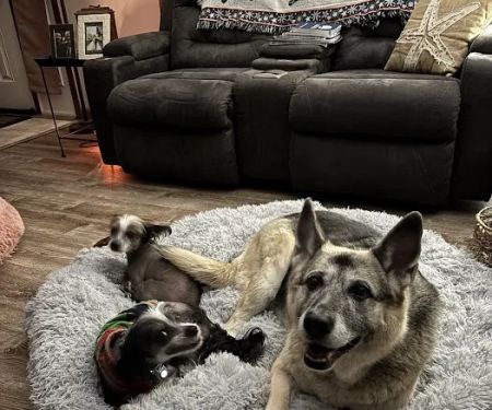 Vetco Vaccination Clinic