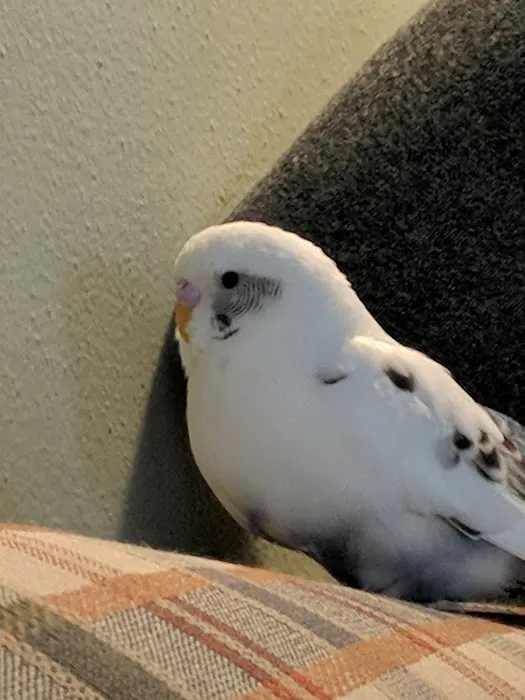 Delafield Small Animal Hospital Picture 1