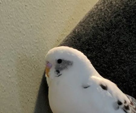 Delafield Small Animal Hospital