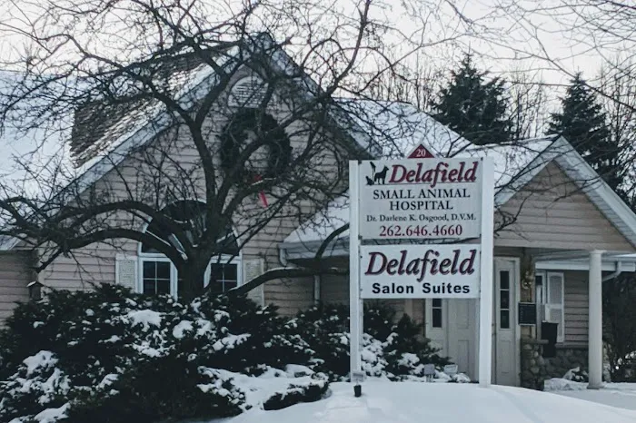 Delafield Small Animal Hospital Picture 3