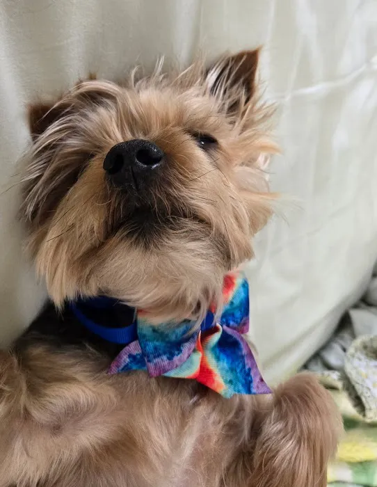 WVRC - Waukesha Picture 2