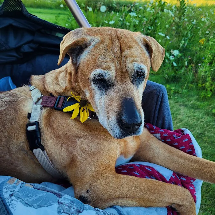 WVRC - Waukesha Picture 1