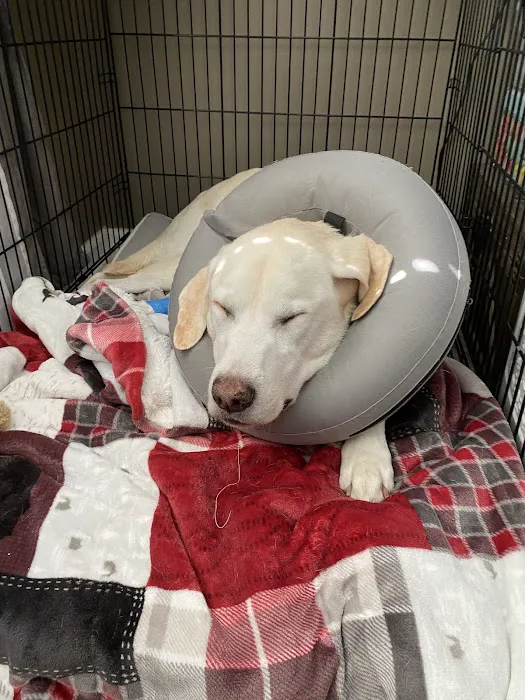 WVRC - Waukesha Picture 5