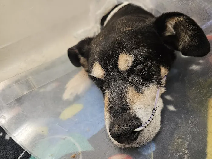 WVRC - Waukesha Picture 6