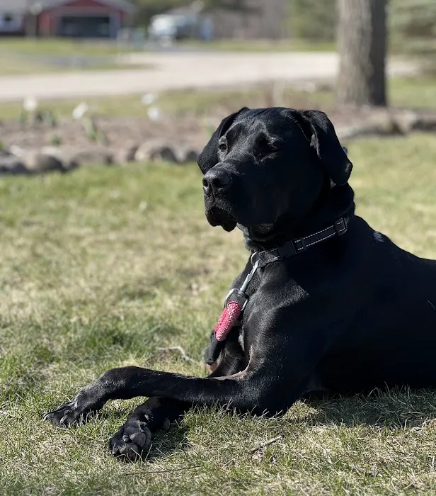Sullivan Veterinary Service, S.C. Picture 2