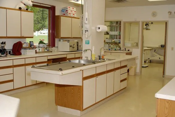 Sullivan Veterinary Service, S.C. Picture 6