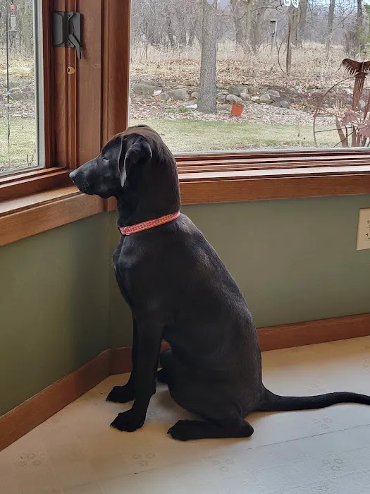 Sullivan Veterinary Service, S.C. Picture 5