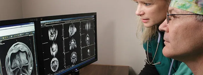 Wisconsin Equine Clinic & Hospital Picture 1