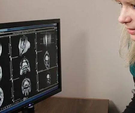 Wisconsin Equine Clinic & Hospital