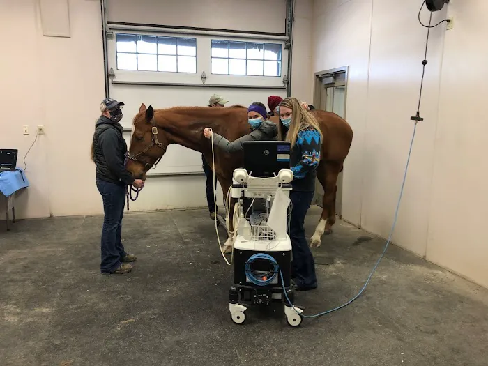 Wisconsin Equine Clinic & Hospital Picture 2