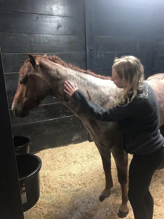 Wisconsin Equine Clinic & Hospital Picture 4