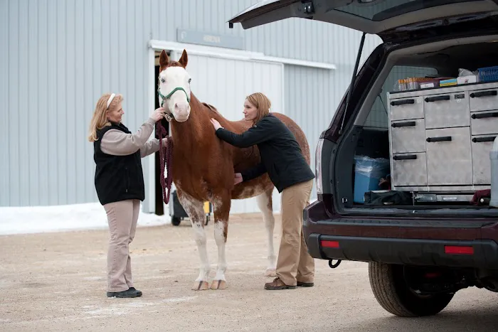 Wisconsin Equine Clinic & Hospital Picture 3